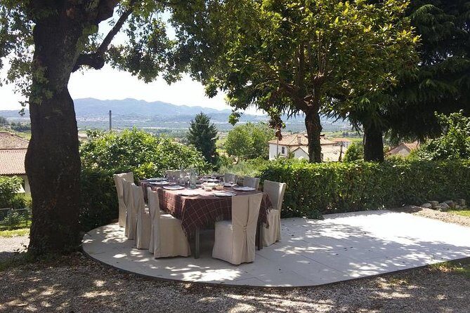 Premium Prosecco Hills Winery Tour with Prosecco Tastings & Food - The guide factor: when the ride becomes part of the story