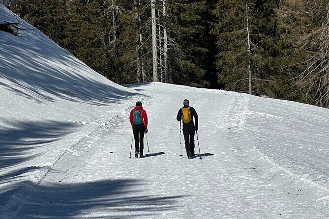 Private Dolomites Winter Day Tour from Venice - Cortina d’Ampezzo: city time plus a mountain lookout