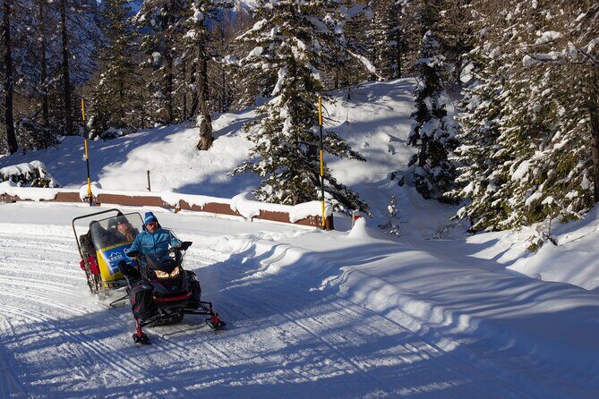 Private Dolomites Winter Day Tour from Venice - Tre Cime di Lavaredo: the snowmobile option is the big flex