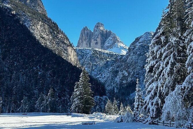 Private Dolomites Winter Day Tour from Venice - Price and what you’re actually paying for ($633.20 per person)