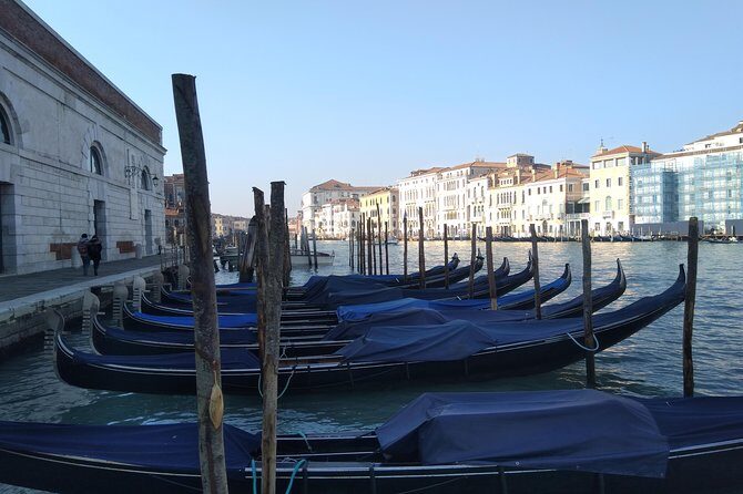 Private exclusive Venice and Murano guided tour - Rialto Bridge: the Grand Canal view with breathing room
