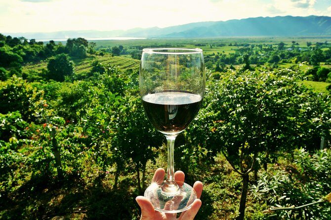 Private Half Day Wine Tasting tour: Road Of The Doges - Key things to know