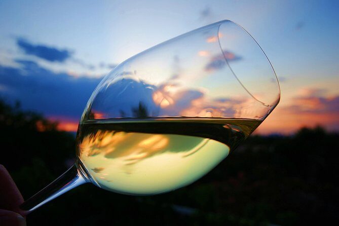 Private Half Day Wine Tasting tour: Road Of The Doges - Getting from Venice to the Veneto hills without the hassle
