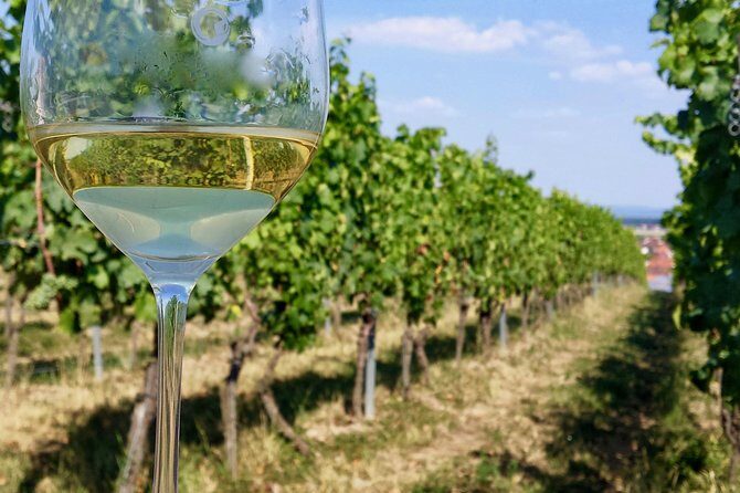 Private Half Day Wine Tasting tour: Road Of The Doges - Appetizers that actually work with wine