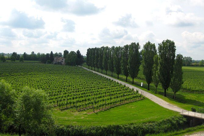 Private Half Day Wine Tasting tour: Road Of The Doges - Price and Logistics: paying for a private day (and how to judge value)