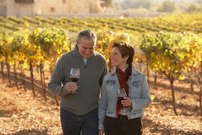 Private Half Day Wine Tasting tour: Road Of The Doges - What to watch for: the biggest reasons people were disappointed