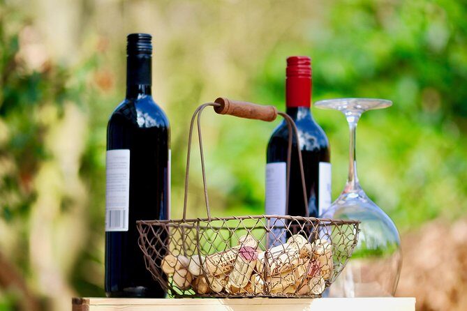 Private Half Day Wine Tasting tour: Road Of The Doges - The barrel-room tour: what you’ll learn and what you might miss