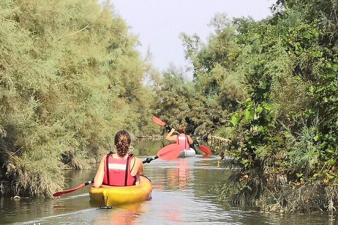 Private Kayak Tour in the Venetian Lagoon - Key Highlights You’ll Actually Feel