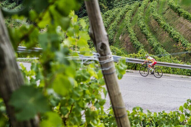 Private Prosecco Tour, with a certified Sommelier - Who this private Prosecco tour fits best