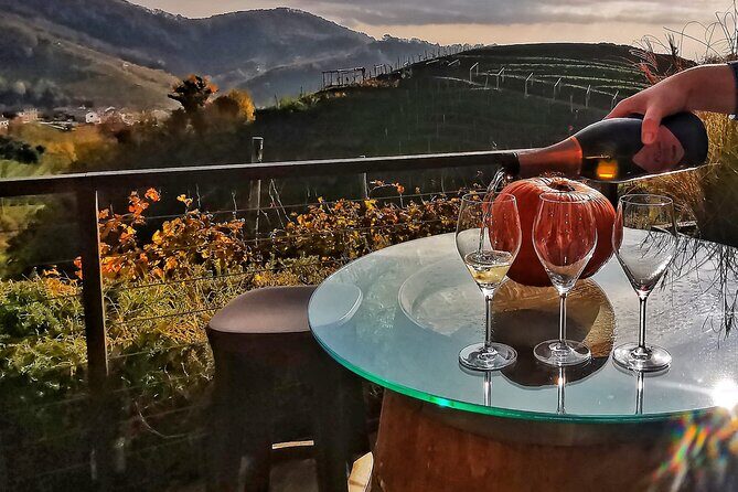 Private Prosecco Tour, with a certified Sommelier - Practical tips before you go