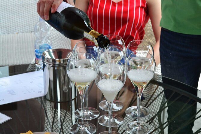 Private Tour: Prosecco Wine Tasting Day Trip with Lunch from Venice - Key Points Worth Knowing Before You Go