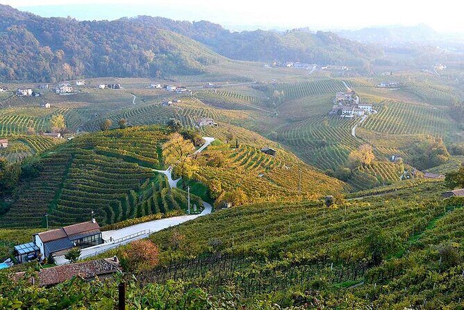 Private Tour: Prosecco Wine Tasting Day Trip with Lunch from Venice - The Value of a Private Guide (Marco, Mario, and Real Q&A)