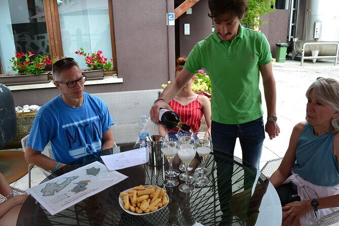 Private Tour: Prosecco Wine Tasting Day Trip with Lunch from Venice - Timing and Comfort: An 8-Hour Day That Doesn’t Feel Like a Marathon