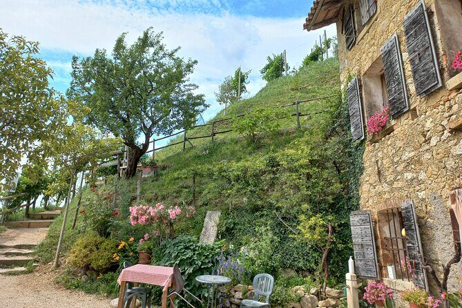 Prosecco Hills Day Trip from Venice & Treviso: 2 Wineries - Key things I’d circle before you go