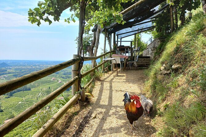 Prosecco Hills Day Trip from Venice & Treviso: 2 Wineries - Conegliano free time: walls, palaces, churches, and a café break