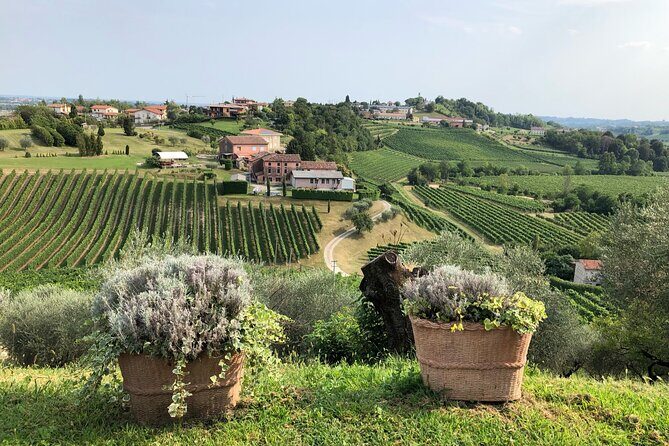 Prosecco Hills Wine and Cheese Gourmet Discovery - Eight tastings and how to enjoy them without getting sloppy