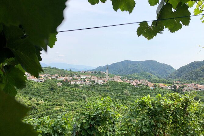 Prosecco Hills Wine and Cheese Gourmet Discovery - Who should book this Prosecco and cheese day, and who should skip it