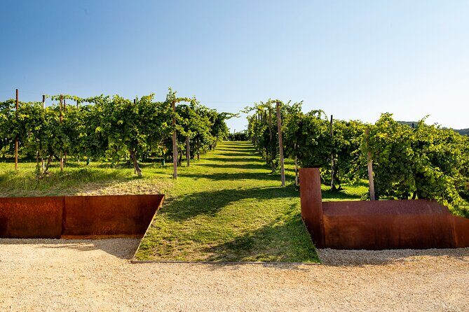 Prosecco tasting, appetizers and tour of the cellar and vineyards - Stop 1 at the Cartizze Pdc: the four-wine sensory flight