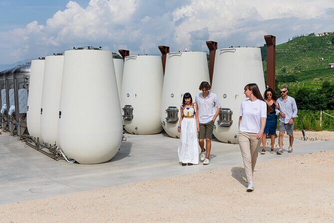 Prosecco tasting, appetizers and tour of the cellar and vineyards - Where you meet and how the 90 minutes are paced