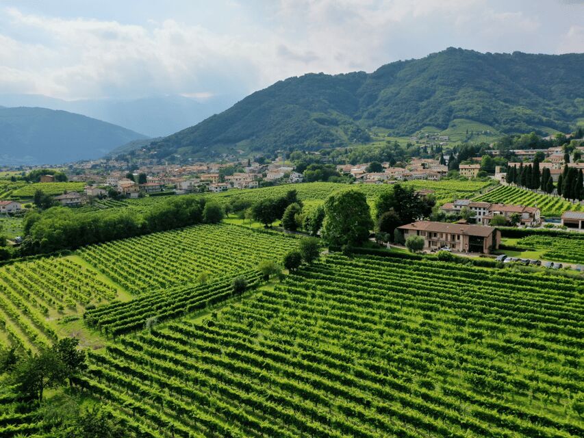 Prosecco Tasting in Countryside Winery - The 30-minute guided walkthrough: from harvest choices to bottling