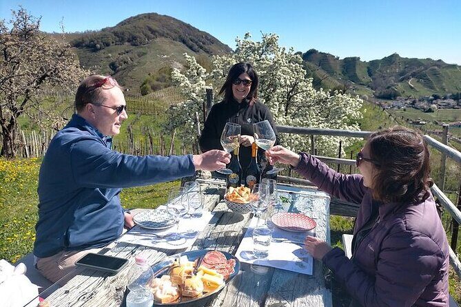 Prosecco Wine Tasting and visit Treviso from Venice - The winery experience: four Proseccos, Glera grapes, and sustainable farming