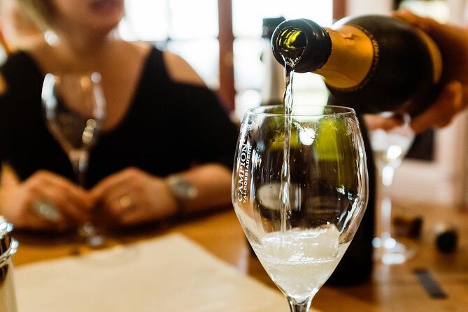 Prosecco Wine Tour (all-inclusive full day with lunch and expert wine guide) - Start at Traghetto Venezia and let someone else drive
