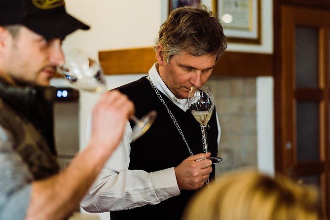 Prosecco Wine Tour (all-inclusive full day with lunch and expert wine guide) - How the guide brings Prosecco into focus (without the wine snob stuff)