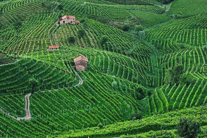 Prosecco Wine Tour. Full day from Venice - Veneto Lunch and Snacks: A Real Meal, Not Just Fuel