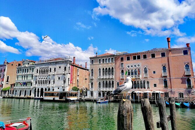 Rialto Market & Seafood Cooking Class in Murano - Price and value: is $342.07 reasonable for a 3-hour class?