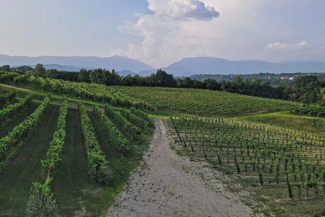 Romantic Evening Tasting with the Best Prosecco - Cold cuts and cheese in the Tenuta’s Wine Bar