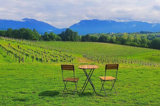 Romantic Evening Tasting with the Best Prosecco - Diet requests, allergies, and kid-friendly alternatives