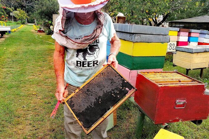 Sant’Erasmo Bike Tour in Venice’s Green Island - Sant’Erasmo’s honey stop: saltmarsh flavors you can taste, not just read about