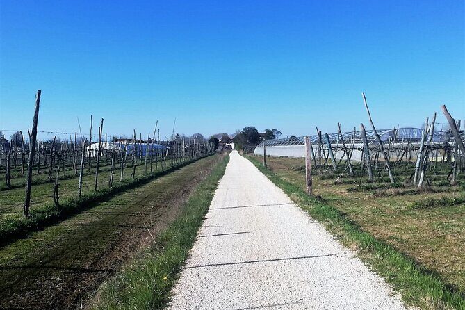 Sant’Erasmo Bike Tour in Venice’s Green Island - Looking north: Burano color hints and the San Francesco del Deserto monastery