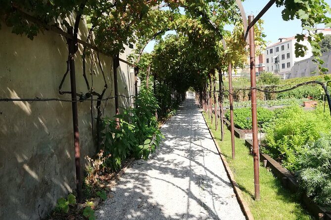 Secret Gardens of Venice Walking Tour - Should you book Secret Gardens of Venice?