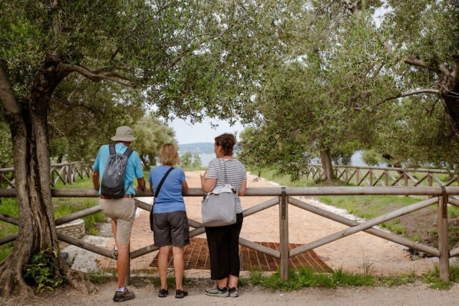 Sirmione: Grotte di Catullo Archeological Tour - Entrance ticket included: price and value for about $69