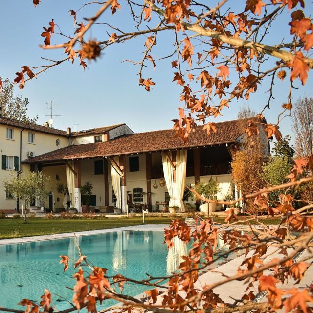 Sirmione: Vineyard Tour with Lugana Wines and Local Tastings - Lugana near Sirmione: why Turbiana matters