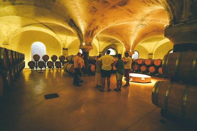 Small-group Amarone Wine e-Bike Tour from Verona - Amarone at the table: how the tasting is set up