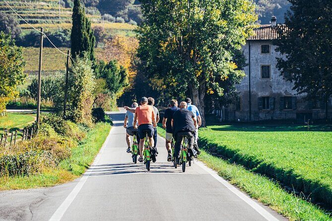 Small-group Amarone Wine e-Bike Tour from Verona - Guides make it: Verona context plus wine talk