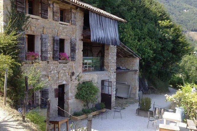 Small Group Prosecco Experience from Venice - Boutique Winery - Small-group pacing, time in the hills, and the escape factor
