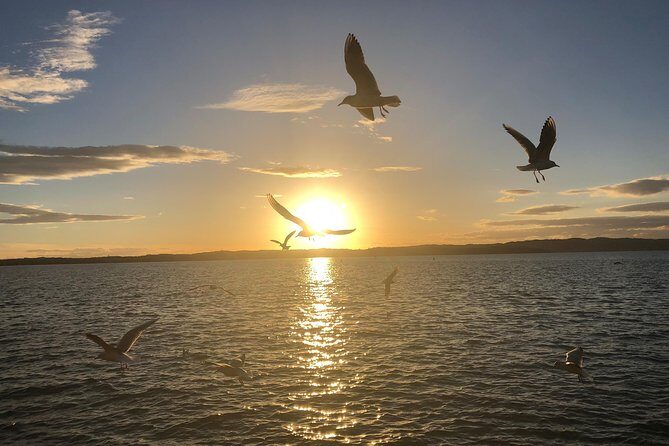 Sunset Tour in Sirmione - Boiola Sulphur Springs: The Fun Part of Looking for Bubbles
