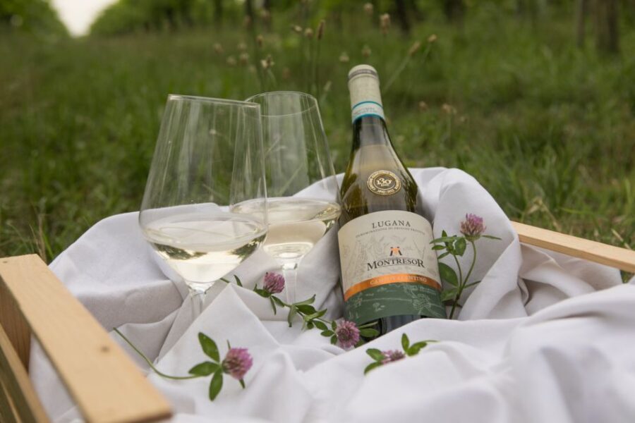 Taste with us Bardolino, Chiaretto and Lugana near Verona - Your tasting flight: Lugana vs Bardolino Chiaretto