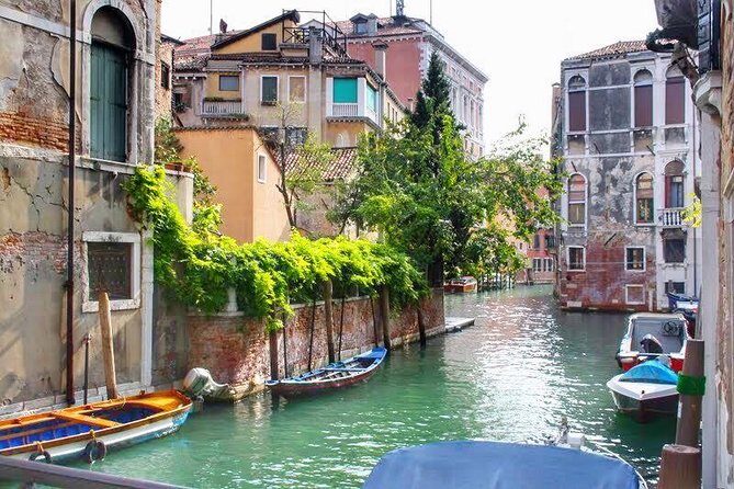 Tasty Street Food Tour of Venice City Center with Cicchetti & Local Specialties - Stop 2: Mercati di Rialto—seven centuries of tasting your way through Venice