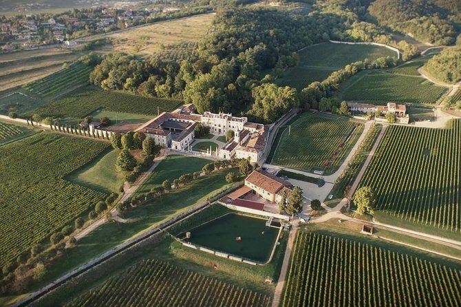 The Amarone Chateau guided tour and tasting in Valpolicella - Who should book the Amarone Chateau-style guided tour at Villa Mosconi?