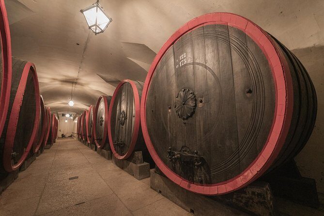 The Amarone Chateau guided tour and tasting in Valpolicella - Should you book it?