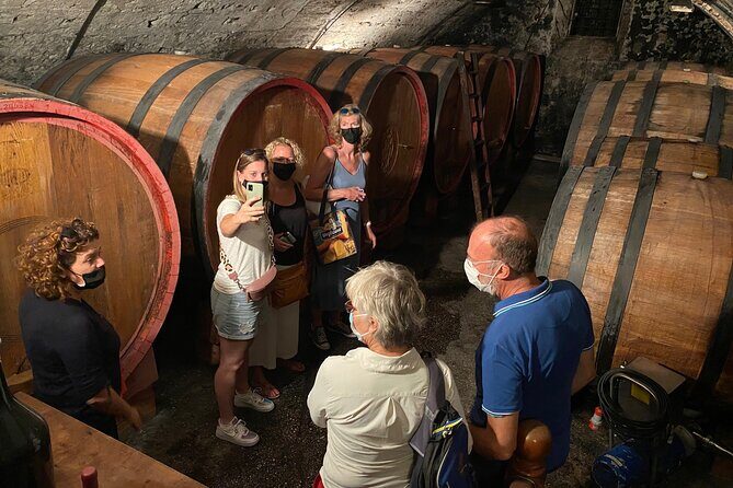 The Grand tour of Valpolicella: 2 Wineries, Lunch & Amarone focus - Verona to Valpolicella in one smooth half-day