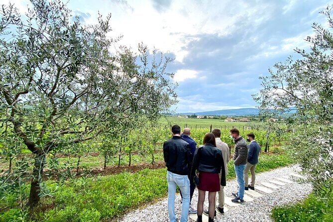 The Grand tour of Valpolicella: 2 Wineries, Lunch & Amarone focus - How the day feels: small-group access, certified drivers, and cellar time