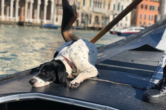 The Secrets of Venice - Private Tour - Ponte di Rialto, then San Marco and the Doge’s Palace power line