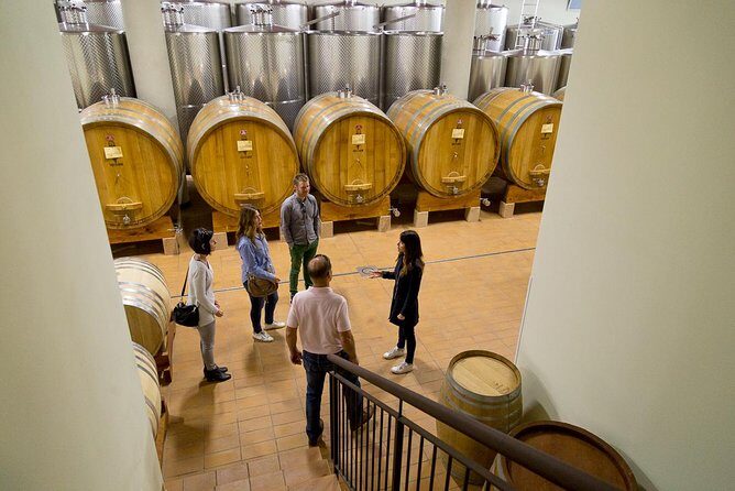The Valpolicella food & wine driving tour: cheese factory+ winery - The vertical Amarone tasting: what you actually get