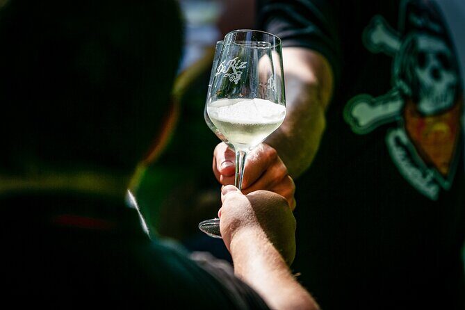 Tour and 3 wines tasting in the Prosecco Hills - What makes this De Riz tasting worth your time