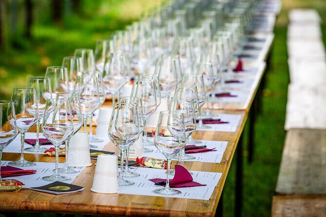 Tour and 3 wines tasting in the Prosecco Hills - What you taste: Prosecco Conegliano Valdobbiadene DOCG plus local pairings